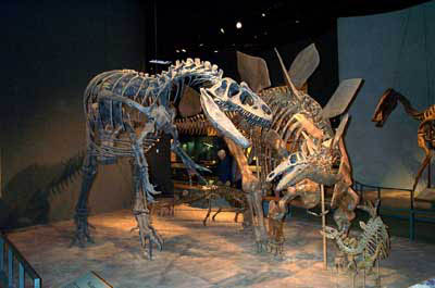 dinosaurs air force museum
